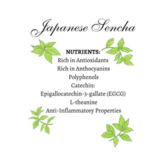Vorratu Company Organic Japanese Sencha Green Tea Green Tea Sachets