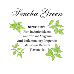 Vorratu Company Organic Sencha Green Tea Green Tea Sachets